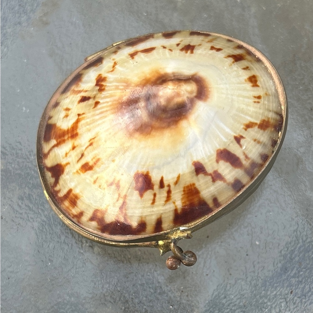 Antique Shell Coin Purse
